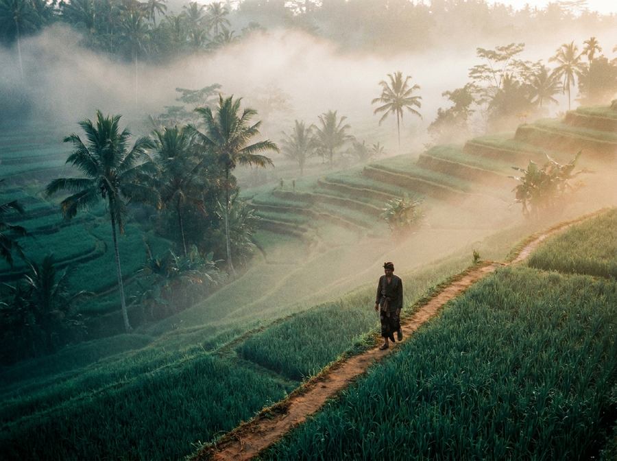 Ubud, Bali, Indonesia